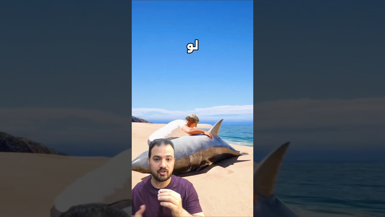لو قابلت قرش خلي بالك