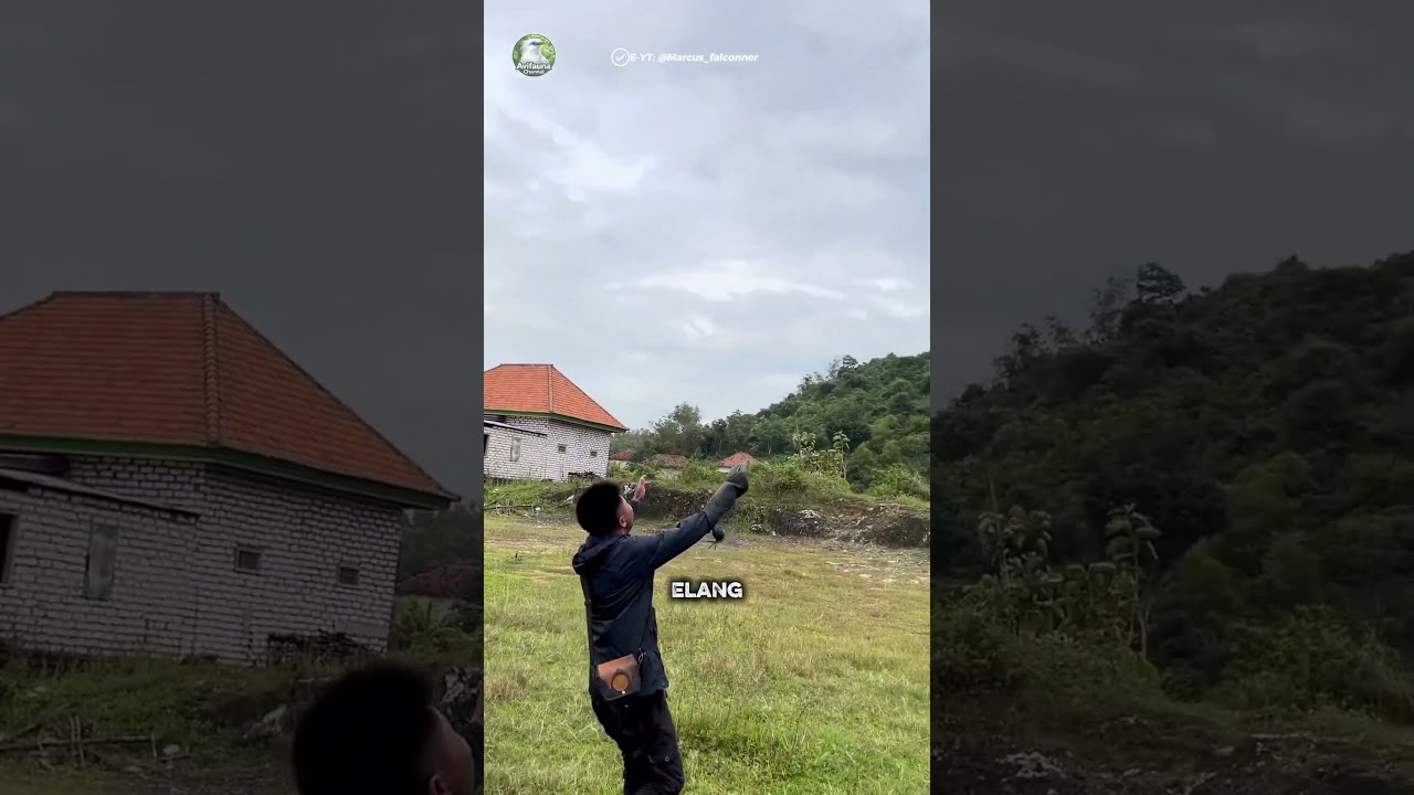 He Called His Eagle Back From the Sky