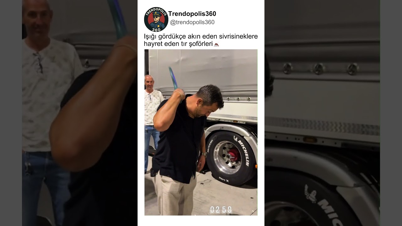 Işığı gördükçe akın eden sivrisineklere hayret eden tır şoförleri..🤔🦟