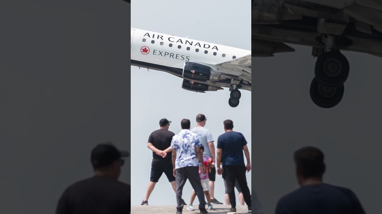 Ex-Air Canada pilot flew with forged licence: police
