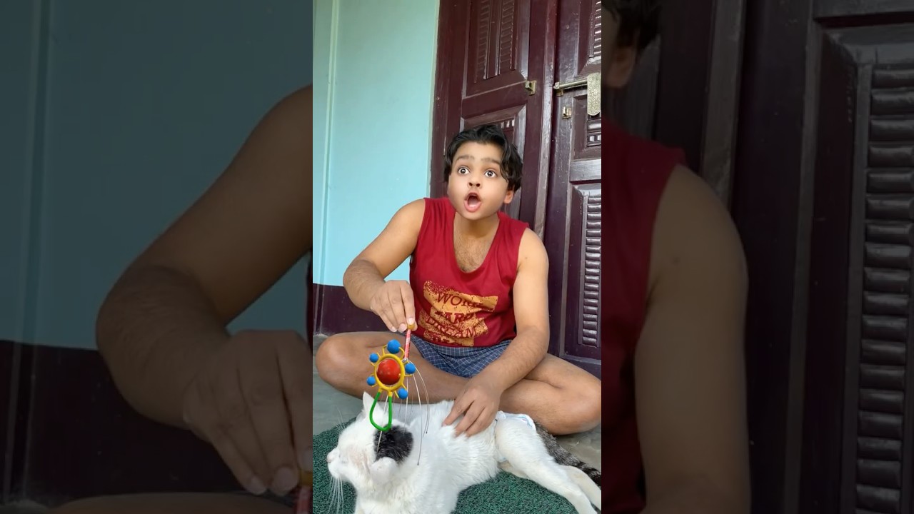 Tillu Ka Billu🐈😍 PART 3🥶#shorts #comedy #funny #olidavines