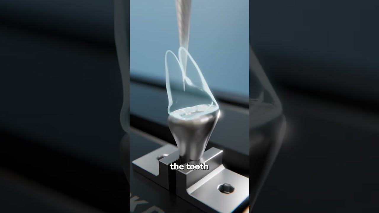 What Happens When A Military Dog Breaks A Tooth 🤔