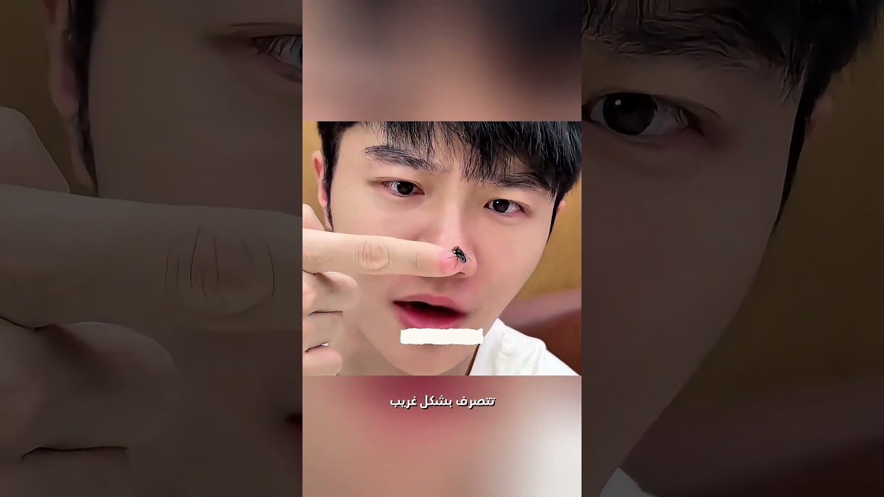 الدبانه كشفت اسرار البيت كله لحد ما الكلب قرر ينتقم منها #حيل #قطط #فكرتين #اكسبلور #افكارينو