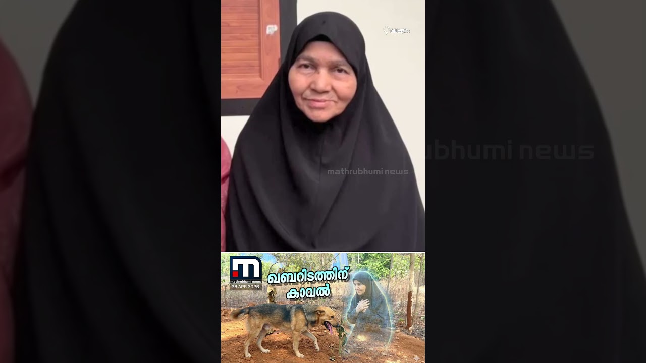 പ്രിയപ്പെട്ട ഉമ്മയുടെ ഖബറിടത്തിന് കാവലായി ഒരു തെരുവ് നായ | Stray Dog | Dog Love | Malappuram