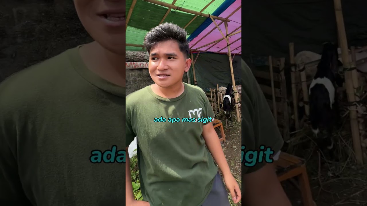Bayar kopi pake kambing buat Qurban‼️
