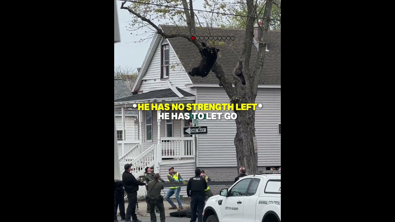 They didn’t let him fall 💔