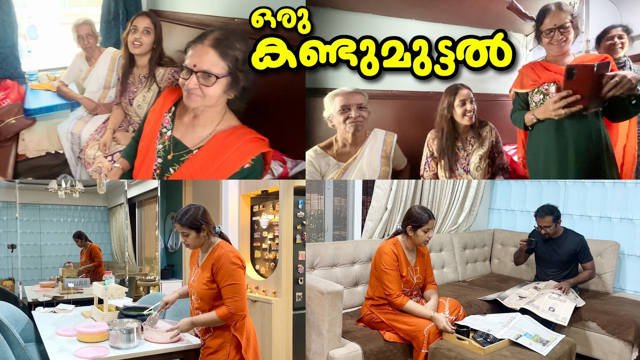 🔥 ഒരു കൂടി കാഴ്ച || A Quick Visit || Swapna's Wonderland 