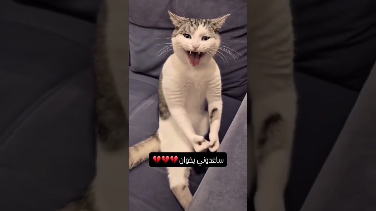 ساعدوني يخوان💔#shorts