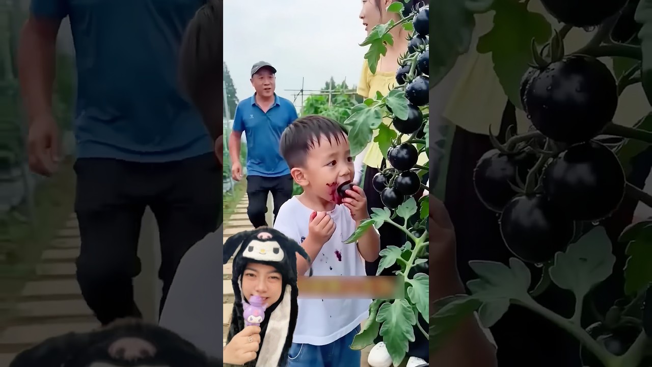 KECIDUK‼️Makan Apel Diam- Diam Malah Di Kasih Pohon Apel nya😱🤣