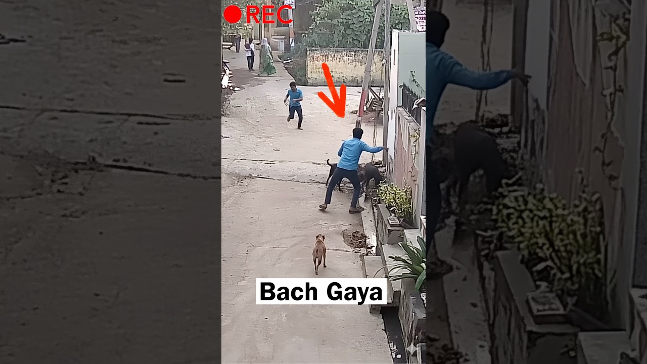 Bach Gaya Bas Rescue  😱