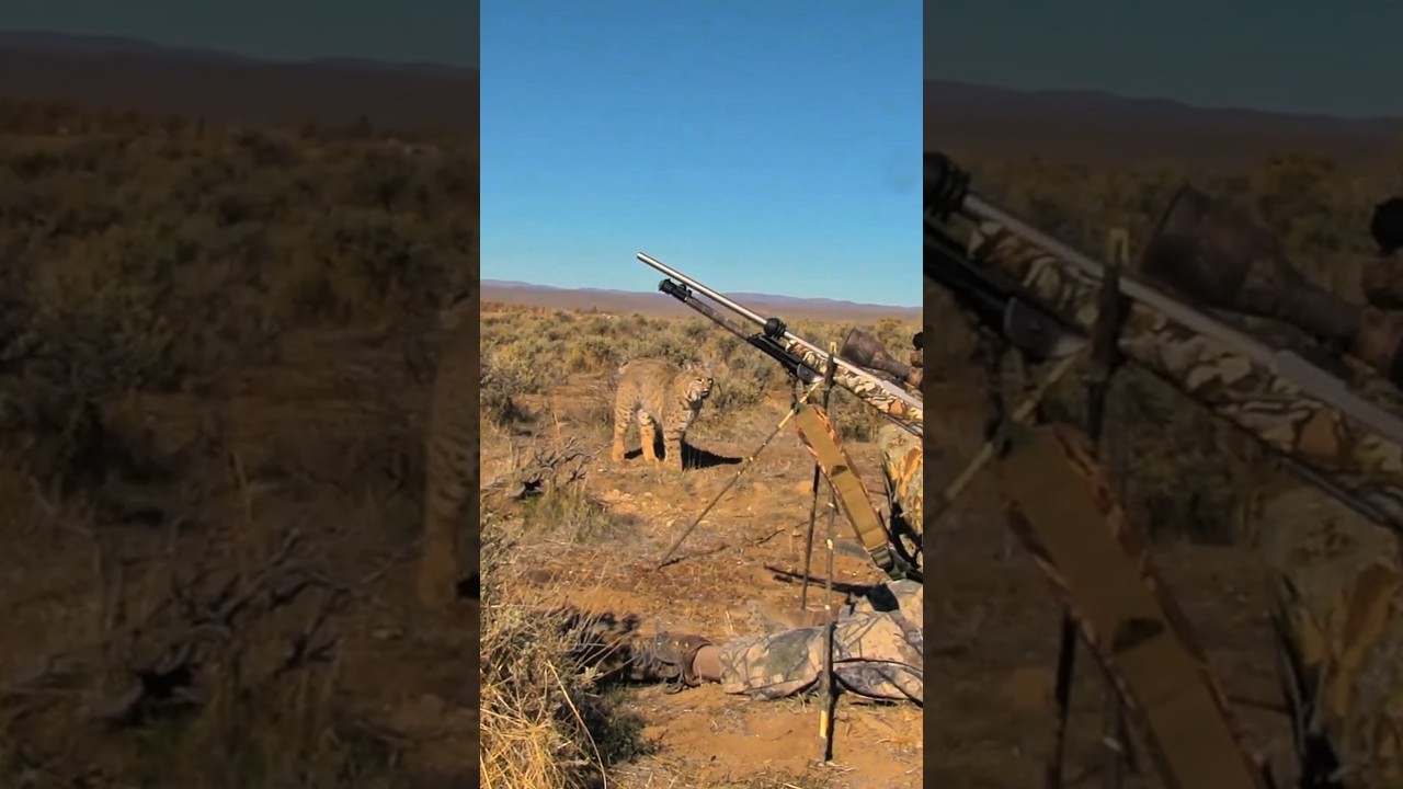 Pertemuan 2 Makhluk Yang Membagongkan