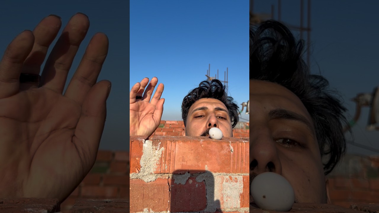 البيضه ازاي هنا🤔