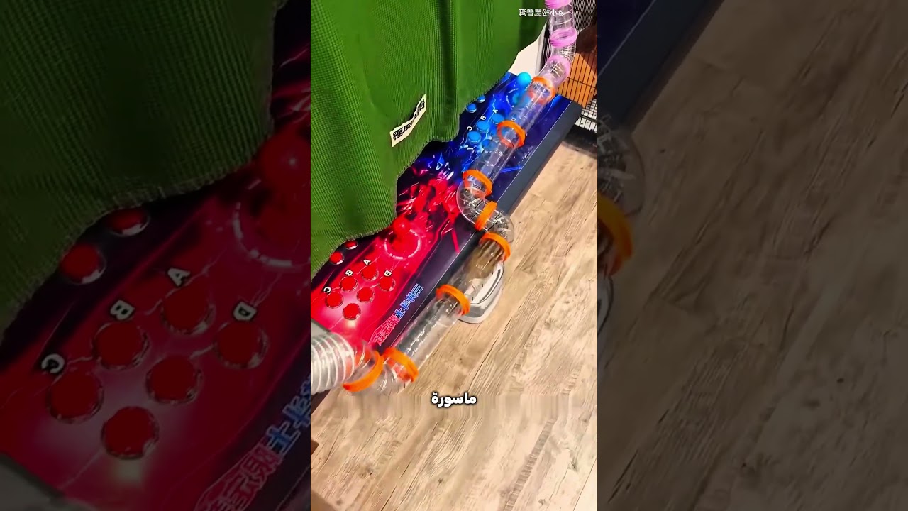 كان ناوي يسرق الشيبسي… فوقع في الفخ! 😱🐿️