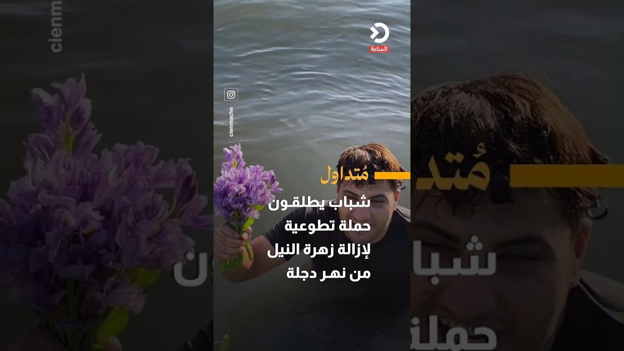 شباب يطلقون حملة تطوعية لإزالة زهرة النيل من نهر دجلة