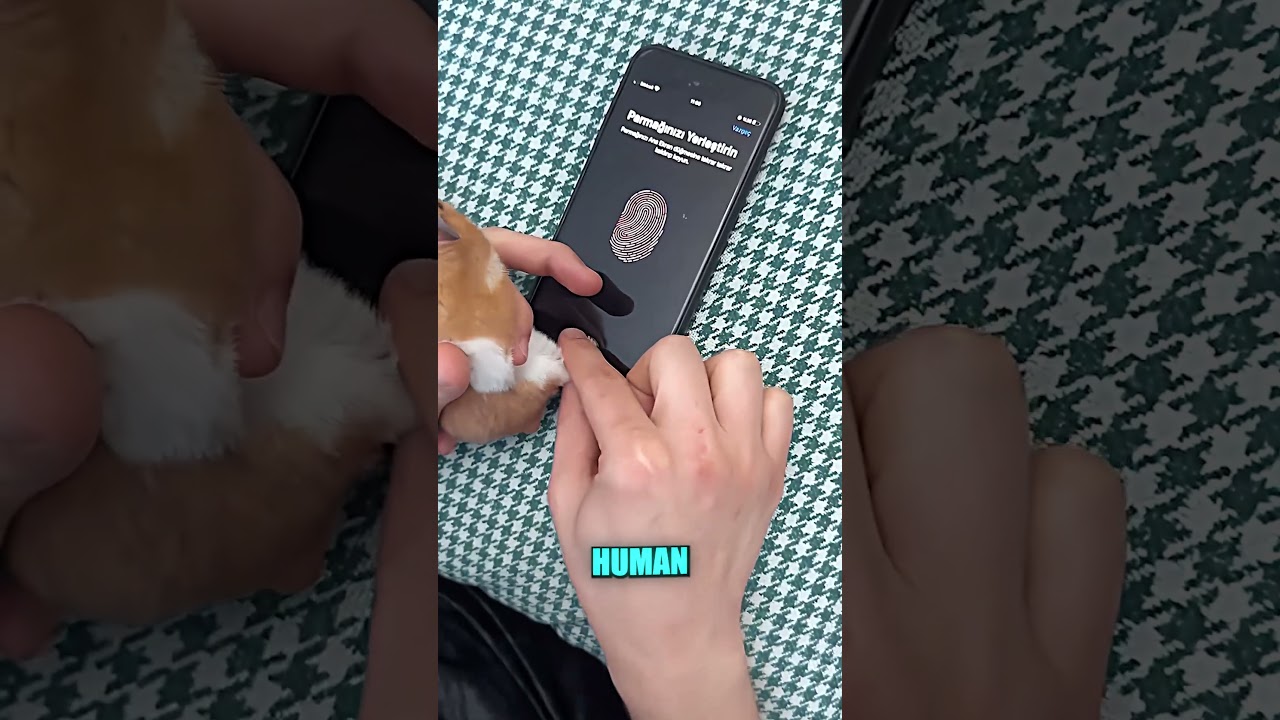 The Weirdest Way to Unlock a Phone 😂