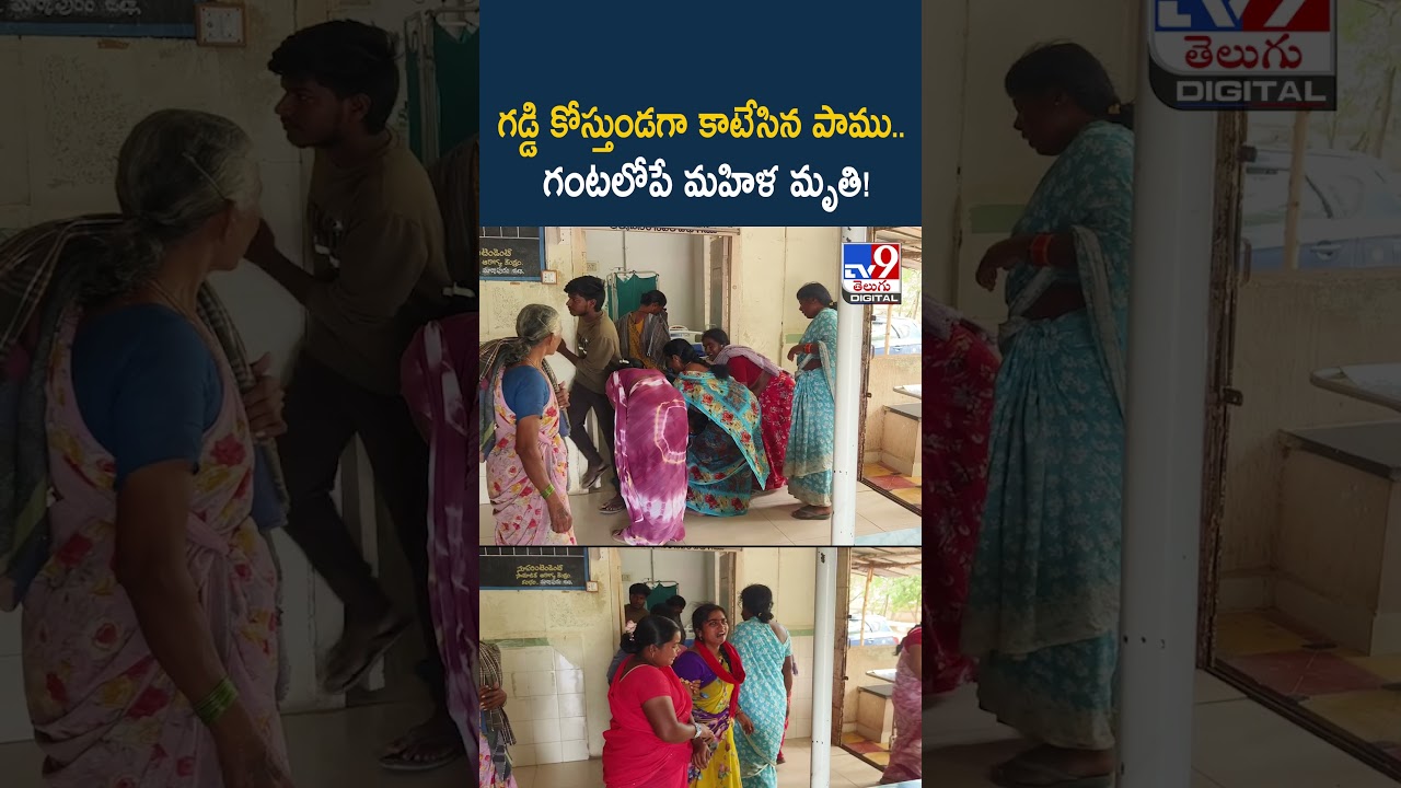 గడ్డి కోస్తుండగా కాటేసిన పాము.. గంటలోపే మహిళ మృ*తి!  - TV9