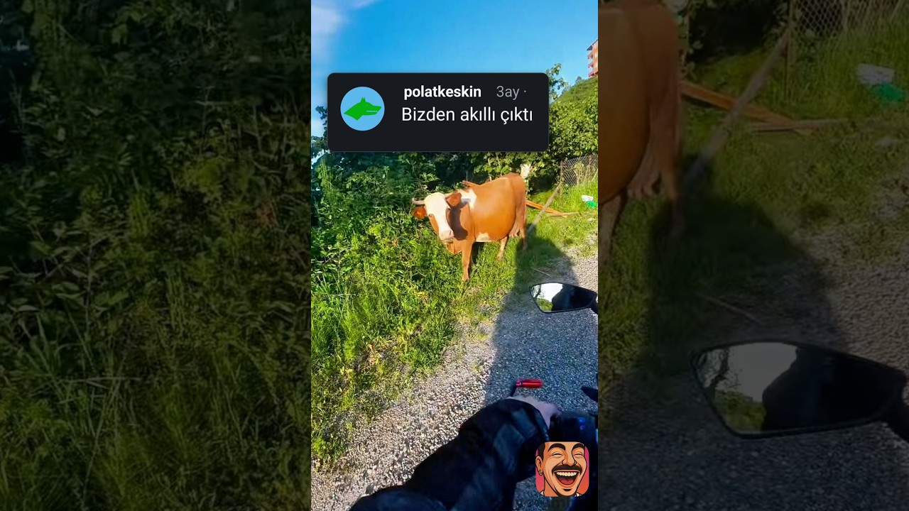 Organik navigasyon sistemi 😂