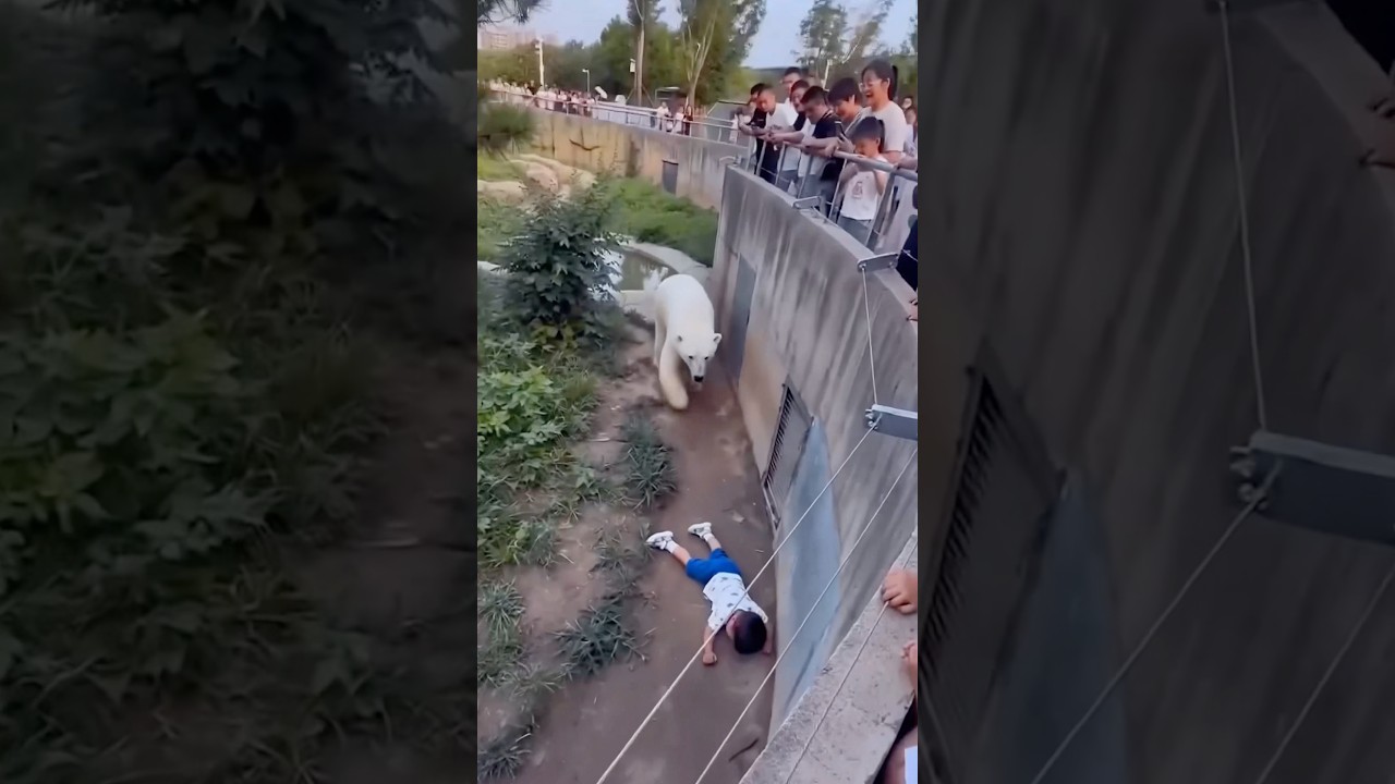 أشخاص سقطو في أقفاص الحيوانات الجزء الثاني 😱