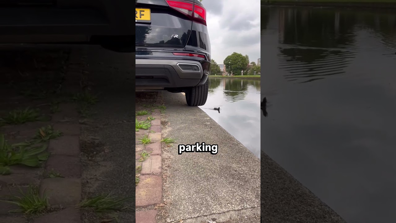 Why You Should NEVER Park Your Car Here 🚗 ⚠️  #shorts #car