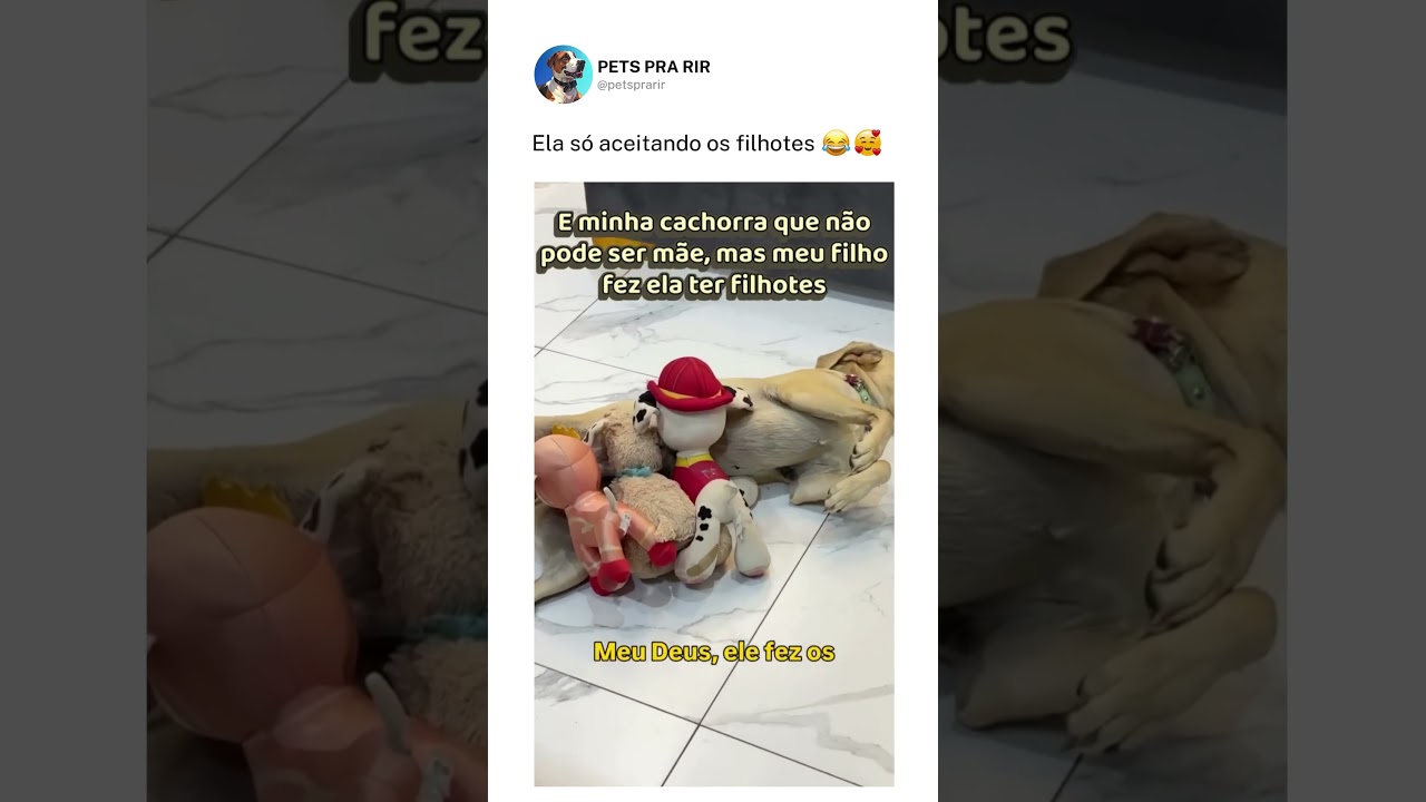 Ela só aceitando os filhotes❤️🥰
