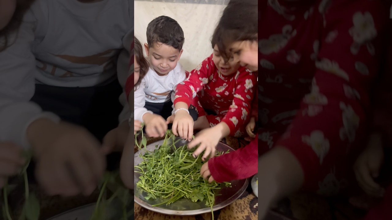 خايفين من بابا #mahdi_الخال