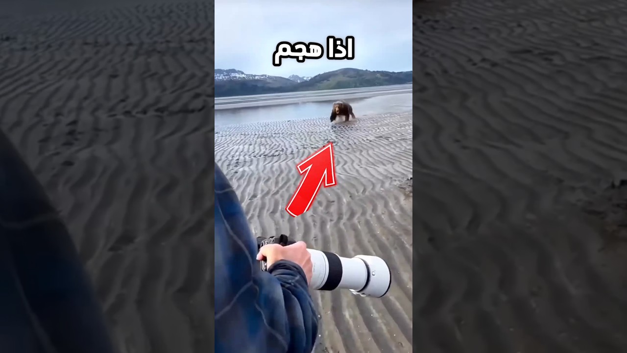 كان رح يروح فيها!؟🤣🙀#اكسبلور#الاردن#عمان#shorts#ضحك#كوميديات#ترند#funny#مشاهدات#خفافيش