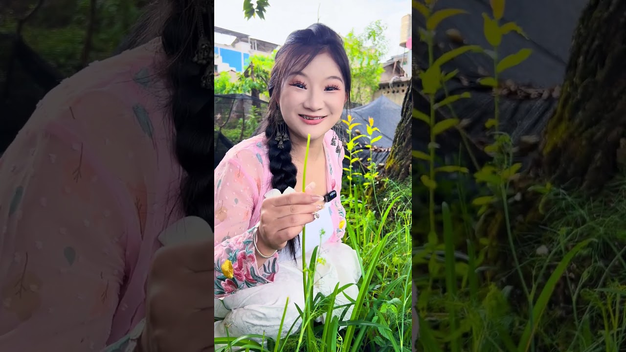 Why do all these stinky ants like to build their nests in these flowers? #MyCountryLife #YunnanFood