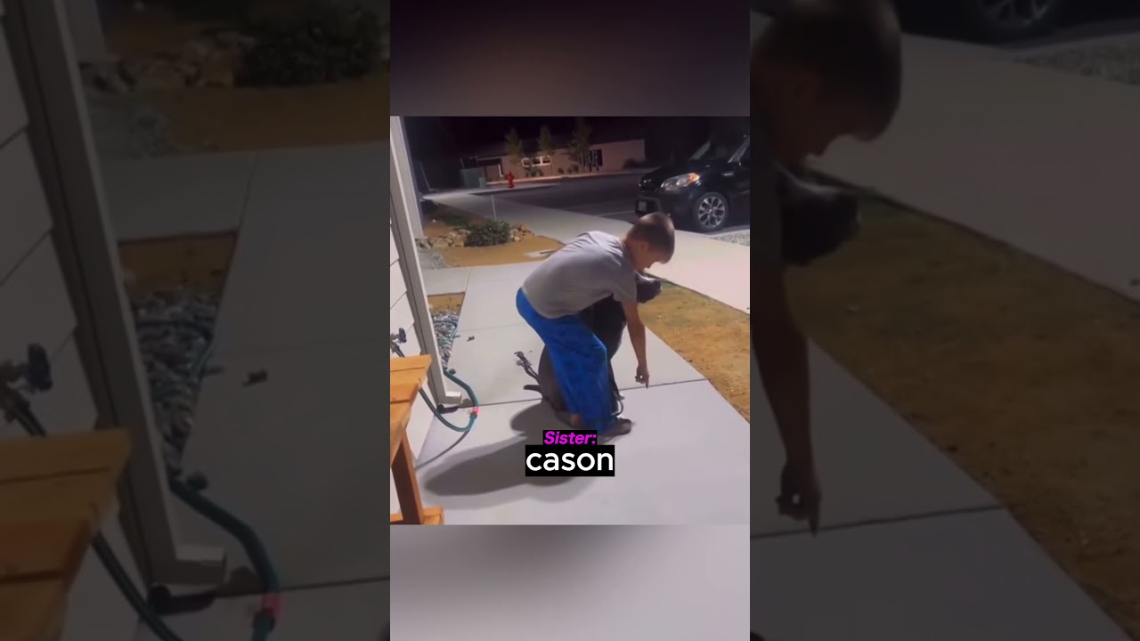 Kid tries to make dog sit...