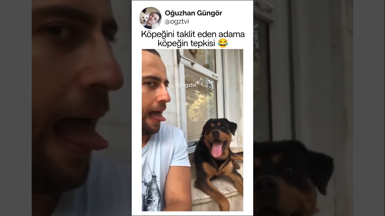 Köpeğini taklit eden adama köpeğin tepkisi