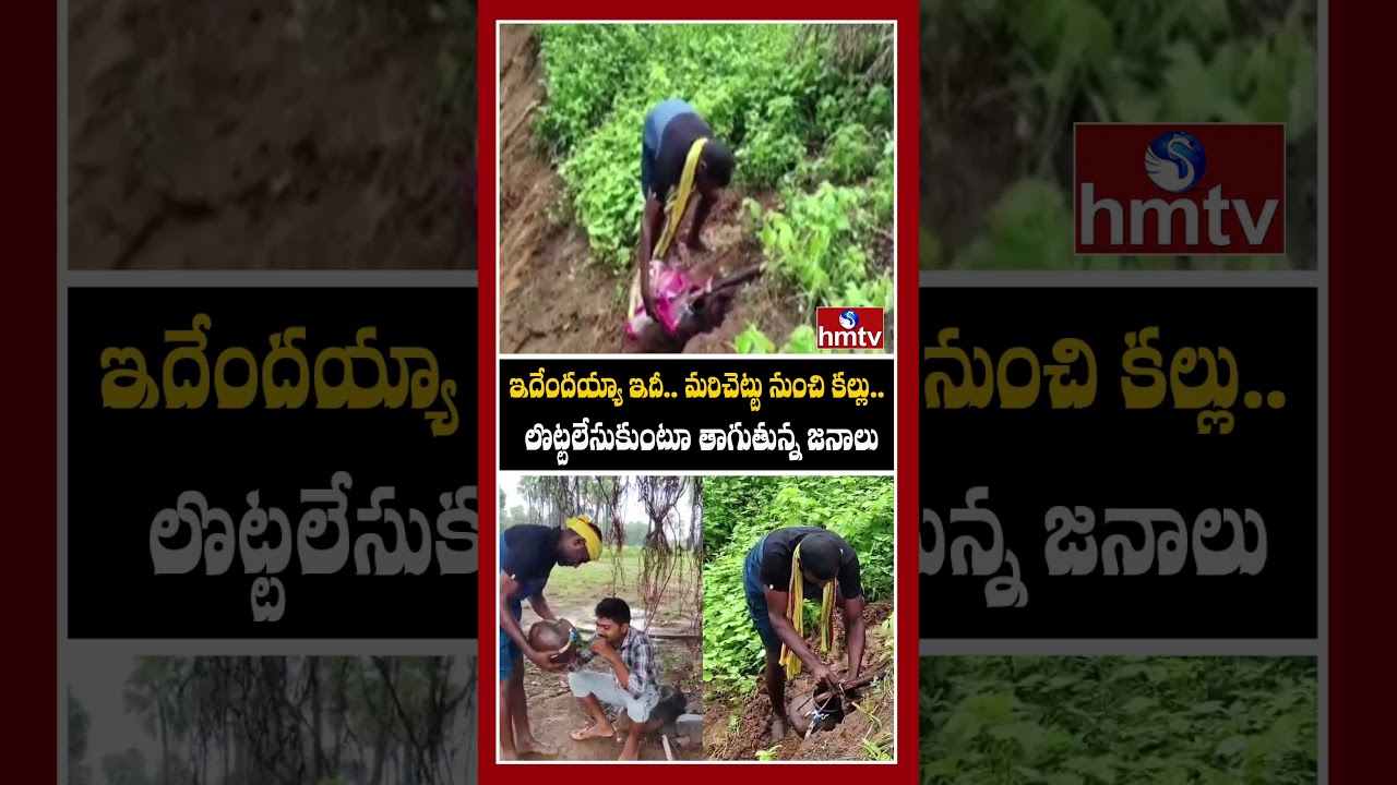 ఇదేందయ్యా ఇదీ.. మరిచెట్టు నుంచి కల్లు.. లొట్టలేసుకుంటూ తాగుతున్న జనాలు | Warangal | hmtv