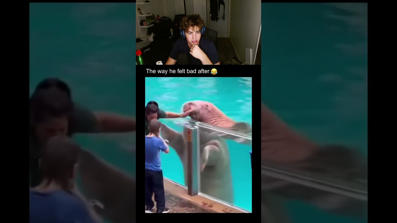 Animals have feelings for humans too..