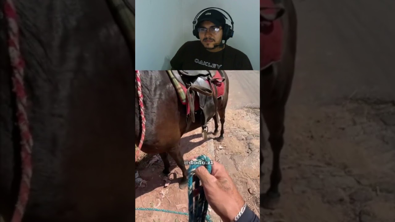 Pensamento intrusivo falou mais alto! #reaction #memes