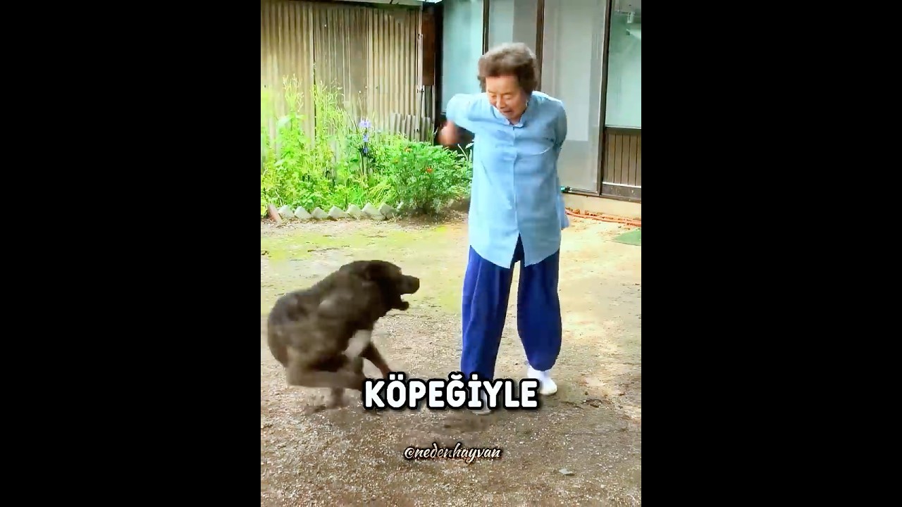 Bu Köpek Kimseye GÜVENMİYOR 🐶❤️ #shorts