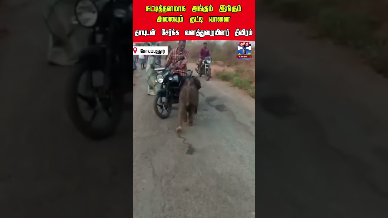 Elephant | Forest Department | Coimbatore