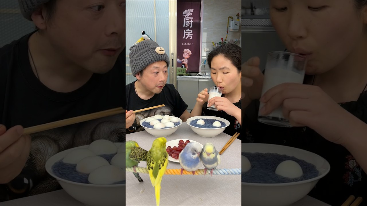 平平淡淡一餐饭😘🥰🥚美食美味