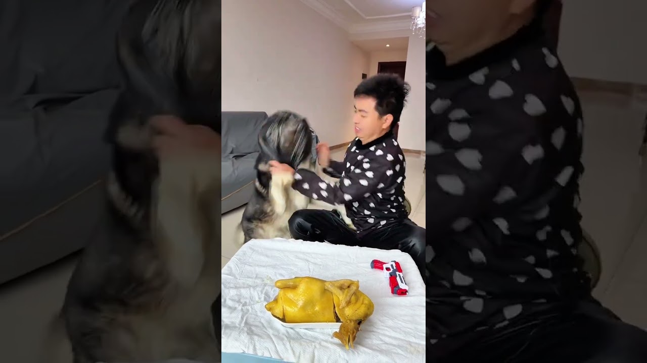 Dog: You are such a jerk  man, but i am not a fool hahaha  Humans And Dogs Always Go crazy series