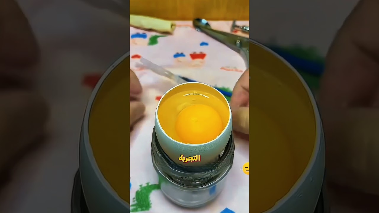 ربيتها ظنًا مني أنها كتكوت، لكن اتضح أنها شيء آخر #shorts