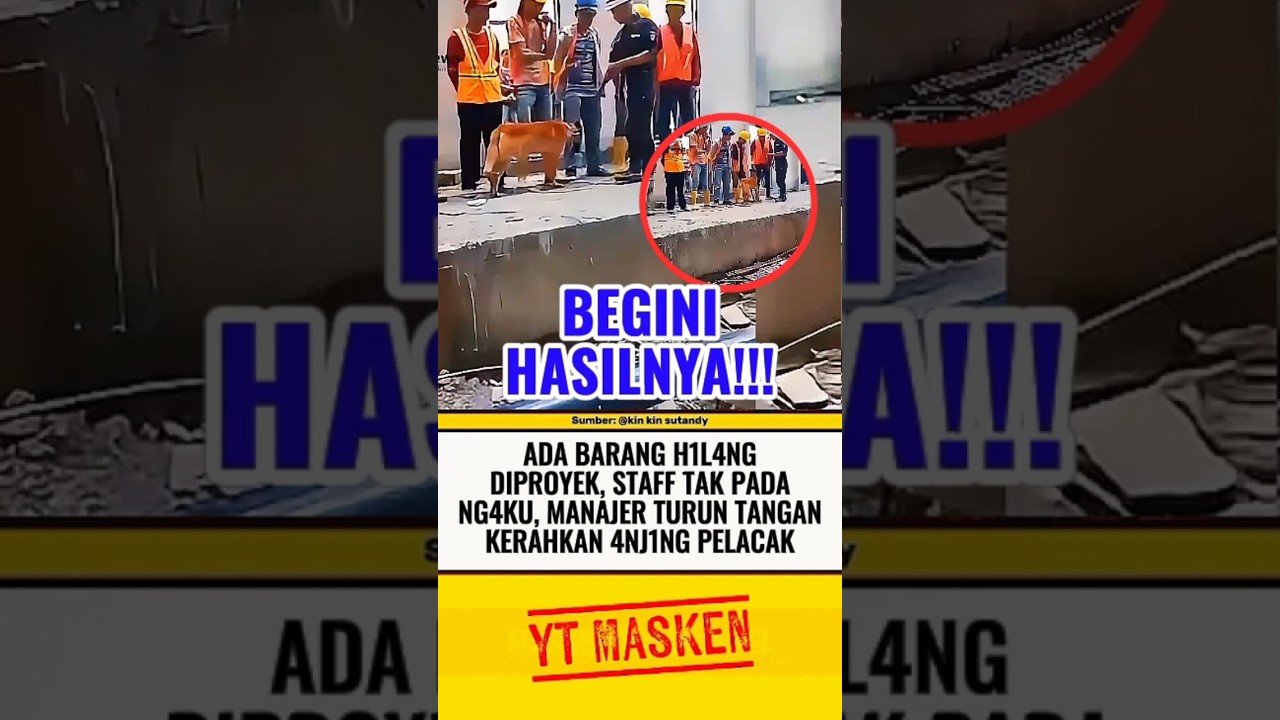 MANAJER PROYEK TURUN TANGAN KERAHKAN 4NJ1NG PELACAK⁉️ #beritaterkini #trending #fyp #shortsvideo