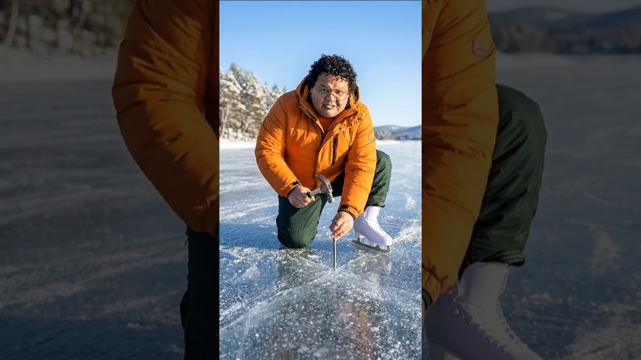 Dontol Usil ke Guru Baru Capybara #capybara