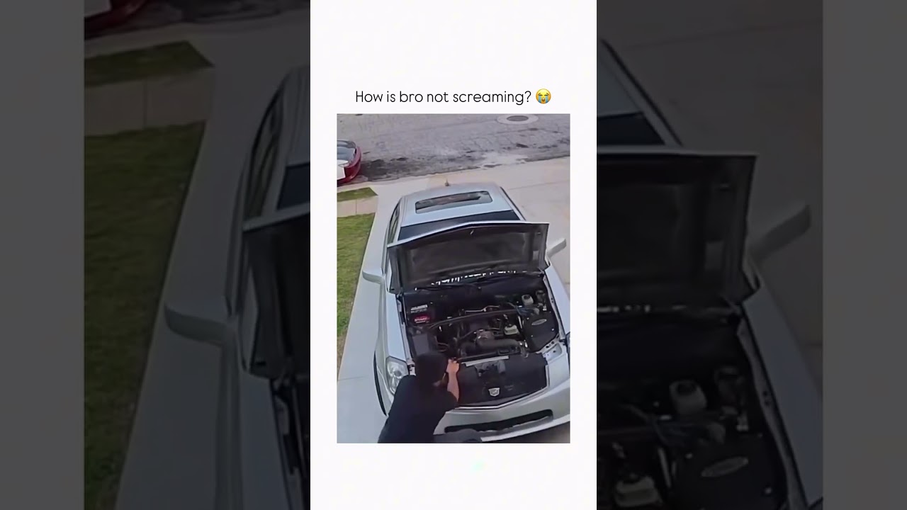 FOLLOW THAT CAR! #funny #viral #viralvideo #fyp