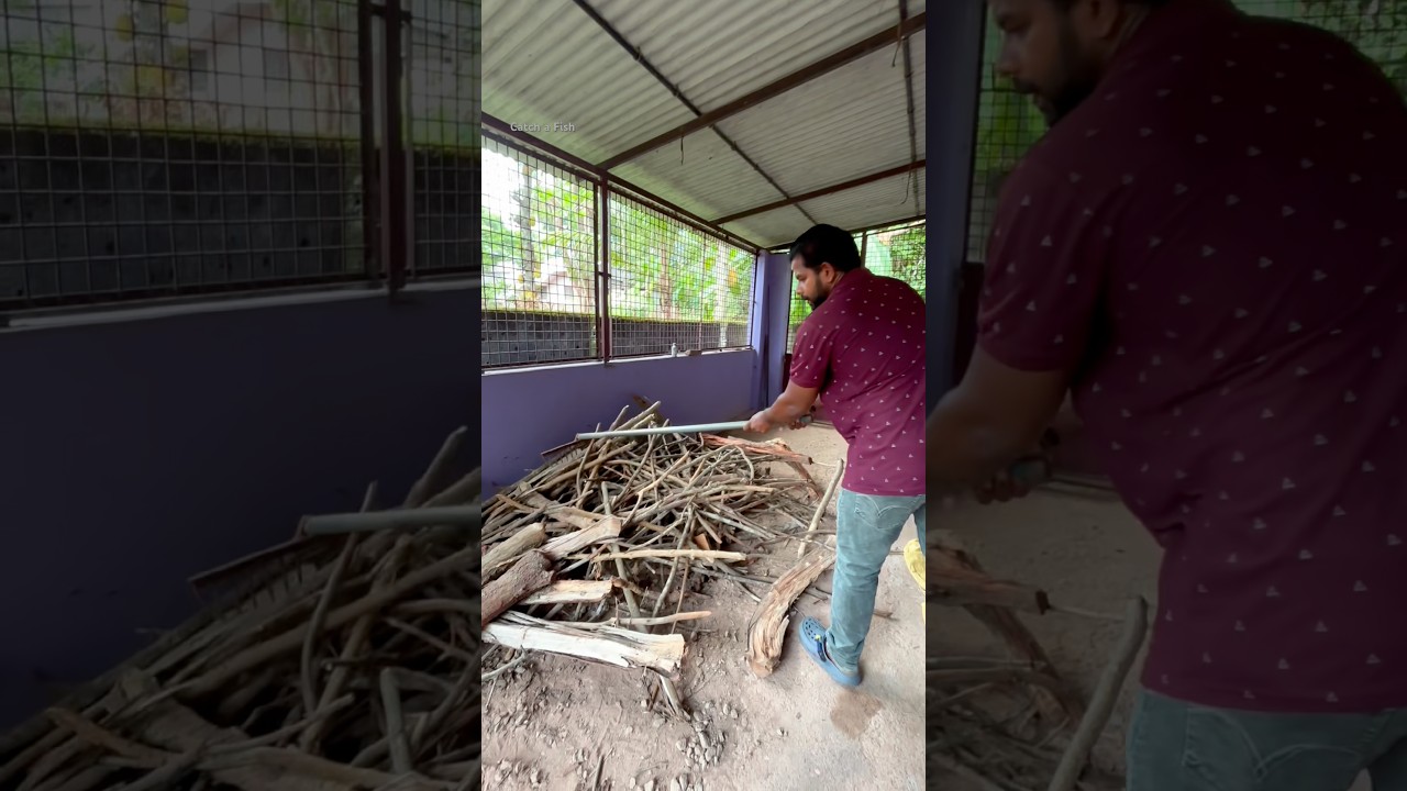 വിറക് മാറ്റി നോക്കിയപ്പോൾ #keralafishing #shorts