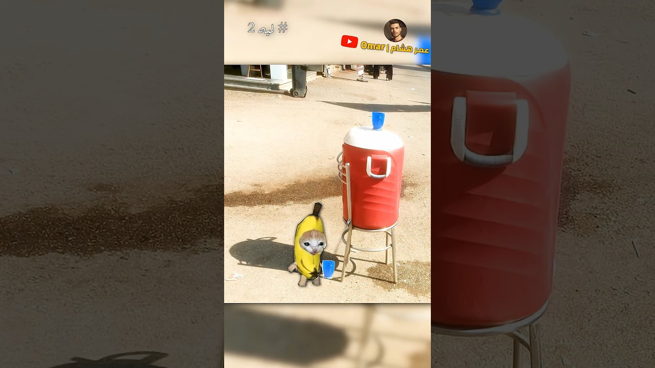 حد يقدر يجاوب ؟ 😂