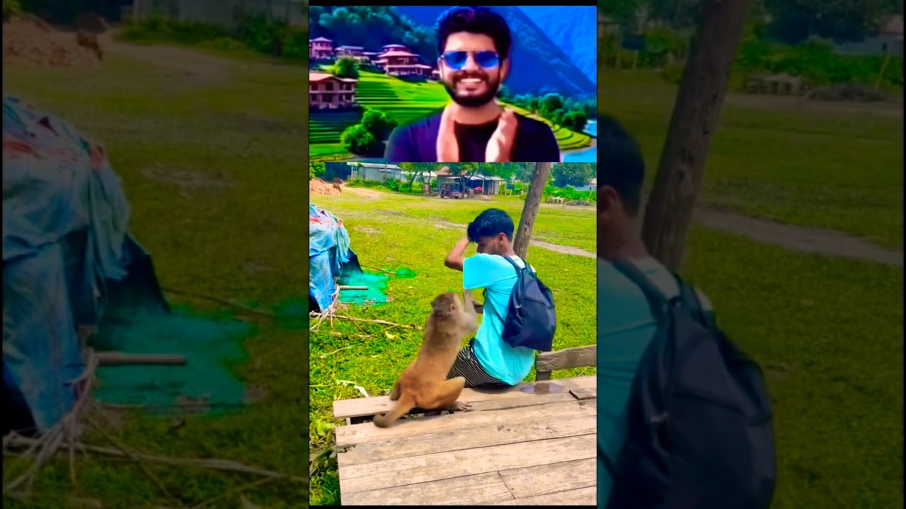 He Teased the Monkey… Then Got a Taste of His Own Mischief! 😂🐒 | Instant Payback