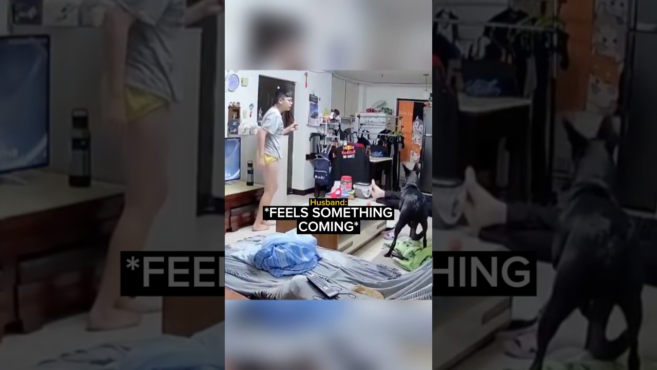 When a Husbands Instincts Kick In…