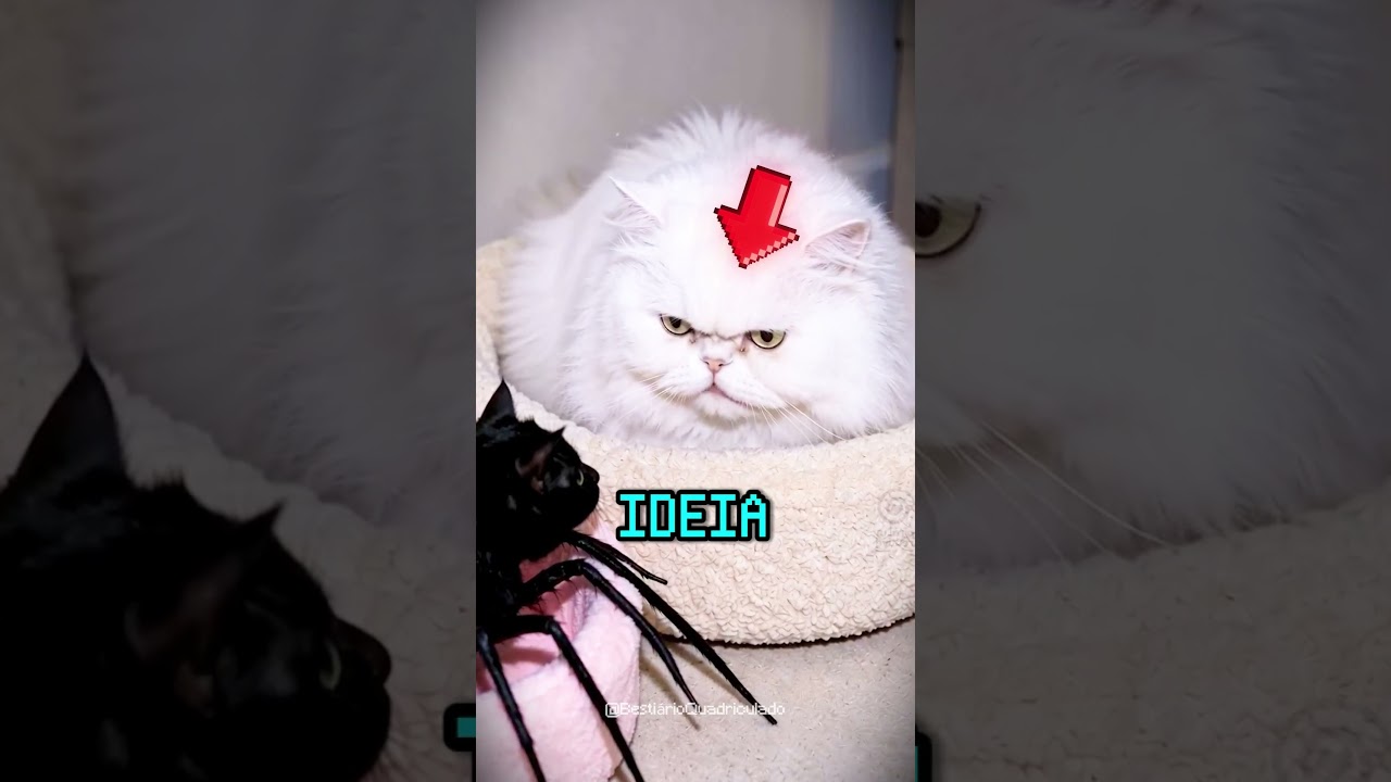 NUNCA LIMPE essa SUJEIRA ANTES de VER ISSO