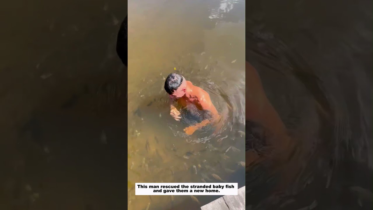 This man rescued the stranded baby fish and gave them a new home.