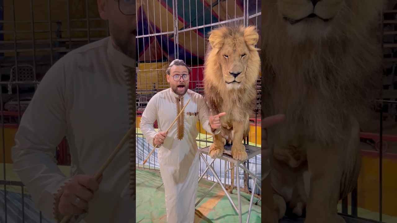 مين أكل اللحمة!!🥩😱