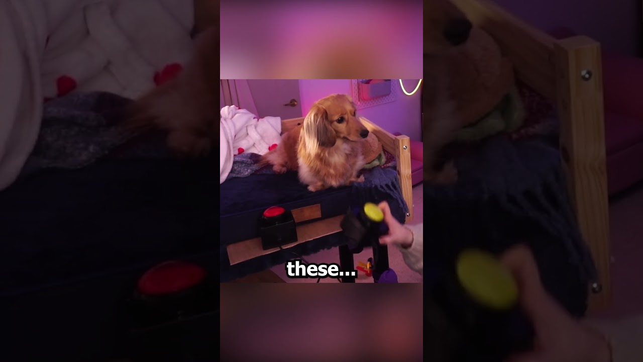 Pea being problematic AGAIN 😭