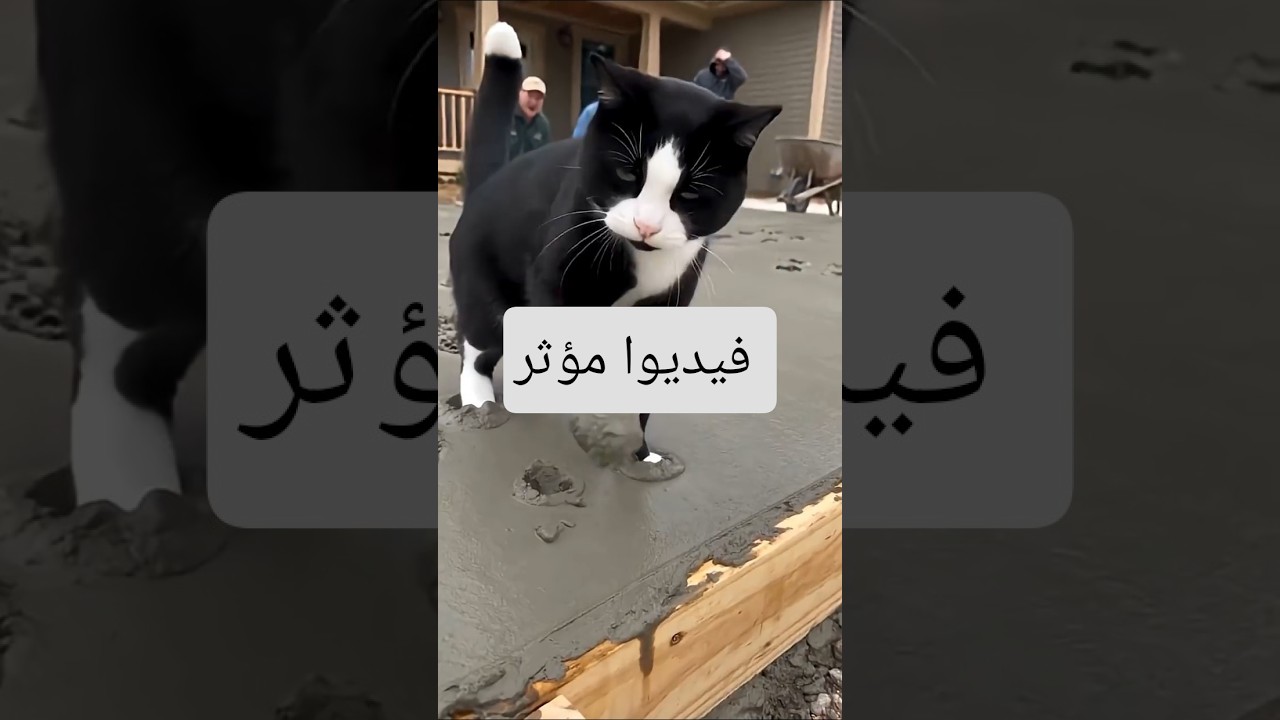 أولاً لا تتعمق بالمشهد وتنسى حديث الرسول #صلوا_على_النبي