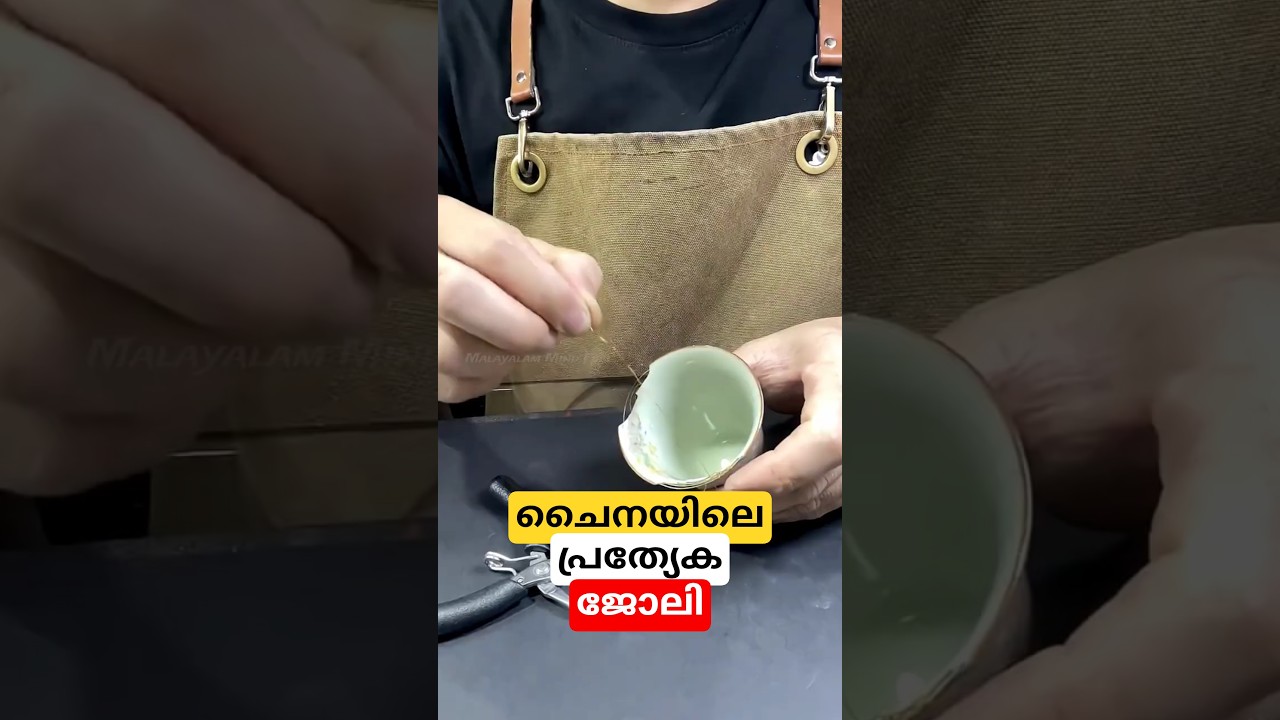 ചൈനയിലെ പ്രത്യേക ജോലി